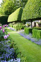 Formal rose garden enclosed on one side by a pleached Hornbeam hedge on stilts, underplanted with Box squares, edged with Nepeta faassenii.