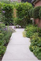 Sandstone path leading to concealed private parking. Planting of Alchemilla mollis and Buxus lollipops