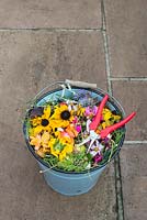 Bucket of deadheaded flowers and waste cuttings - September 