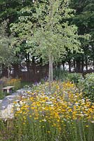 Crab apple trees in a border surrounded by wildflowers with a granite setts path and bench. A stitch in time saves nine garden. RHS Tatton Flower Show 2011, Cheshire