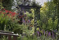 Pathway leading through a black painted arch with Clematis 'Warsaw Nike', Crocosmia 'Lucifer' and Cotinus coggygria 'Golden Spirit'. Cheshire
