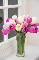Tulipa 'Attila', 'Catherina' and 'Rosalie' in vase on windowsill