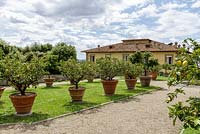 Villa Gamberaia, Settignano, Florence, Tuscany, Italy. The 'Limonaia' or lemon garden, with large terracotta containers