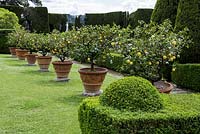 Villa Gamberaia, Settignano, Florence, Tuscany, Italy. The 'Limonaia' or lemon garden, with large terracotta containers