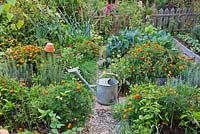 Raised bed with herbs, perennials, annuals and vegetables.