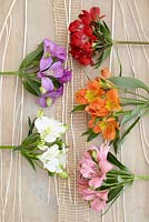 Cut flower display with Alstroemeria 'Red Delight', 'Misty Spring', 'Moria', 'Elegance' and 'Party'


