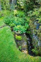 Stream from the pond runs between stone walls below tall sycamores, surrounded by moisture loving plants including ferns, hostas, lysichiton, persicaria and Silene fimbriata.