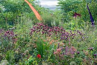 Densely planted bed including deep magenta Monarda 'Gewitterwolke', salmon pink crocosmias, agastache, lythrum, Verbena bonariensis, fennel and Dipsacus pilosus, the lesser teasel. Hunting Brook Garden, Co Wicklow, Ireland