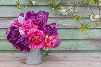 Galvanised jug with Tulipa 'Sunset Tropical', 'Victoria's Secret' and 'Violet Beauty'