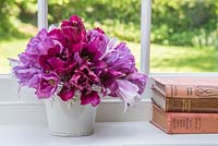 Container with Tulipa 'Blue Parrot', 'Victoria's Secret' and 'Ballade'