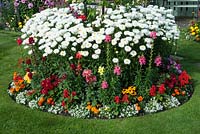 Circular island bed planted with tender bedding plants and perennial including Alyssum, Salvia, Dahlia, Rudbeckia, Antirrhinum, Calendula and Leucanthemum