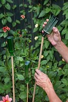 Adding glass bottles to garden canes as cane toppers
