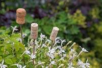 Wine corks used as cane toppers