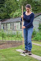 Using a garden rake to firm down new turf