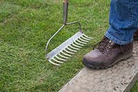 Using a garden rake to firm down new turf