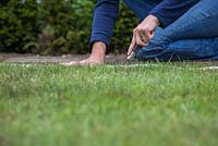 Using a knife to cut newly laid turf to shape, following along the rope guide