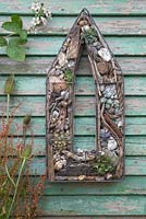 A Seaside themed wire frame hanging on a shed. Planted with Succulents, shells, drift wood, stones and nautical items