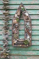 A Seaside themed wire frame hanging on a shed. Planted with Succulents, shells, drift wood, stones and nautical items