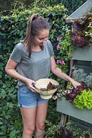 Young girl harvesting a mixed selection of Lettuce from the upcycled vertical planter