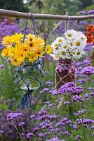 A floral display of glass vases in woven nets, hanging above a cluster of Verbena bonariensis