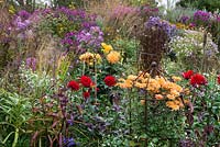 A large colourful autumn border with Chrysanthemum 'Kleiner Bernstein' in a metal support alongside dahlias, asters and ornamental grasses.