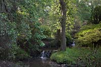 Waterfall and stream in woodland glade - June, Clyne Gardens, Swansea, Wales