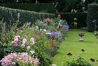 The Holly Hedge Border and lawn. Planted with peony, Diascia 'Apple Blossom', Penstemon 'King George', Rosa 'Iceberg', Aster x frikartii  'Monch', Ceanothus 'Henri Desfosses' and 'Gloire de Versailles' and Rosa 'Fred Loads'.
