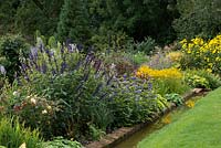 The Canal Run Border planted with Rosa 'Buff Beauty', Salvia 'Amistad', Aconitum x carmichaelii 'Spatlese', Clematis heracleifolia 'Cassandra', Rudbeckia x deamii, Verbena bonariensis and Rudbeckia 'Herbstsonne'.