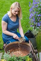 Step 1. Having drilled holes in the base of the tub, cover with a layer of gravel to aid drainage. Planting a thyme wheel in a container step by step. 