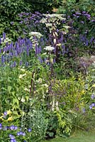 A mixed border with Angelica, Agastache, Daylily, Anthriscus, Hardy Geranium, Cosmos, Erigeron and Verbena Bonariensis. A Dog's Life, designed by Paul Hervey-Brookes.