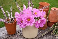 Pink Cosmos bipinnatus Sonata Series with Erica carnea f. alba 'Springwood White' arranged in stoneware vase