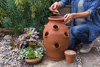 Step by Step. Add some crocks to the bottom of the pot to assist with the drainage