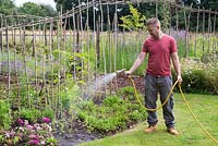 A man using a garden hose to water plants in a border