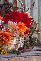 Orange and red toned Dahlia display in woven basket. Featuring Dahlia 'Frost Nip', 'Dahlia Mrs Eileen', Dahlia 'Ariko Zsaza', Dahlia 'Babylon Red' and Dahlia 'Art Deco'