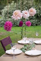 Cut flower heads of Dahlia 'Cafe au Lait' and Dahlia 'Orfeo' hanging in garden dining setting