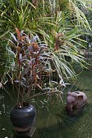 Stone elephants and Cordyline fruticosa in pot in tropical pool - Myanmar