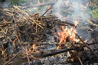 Bonfire on vegetable plot, flames and smoke