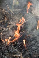Bonfire on vegetable plot, flames and smoke, close up of flames