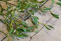 Mistletoe on wooden table