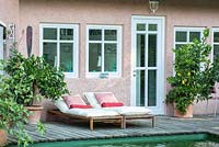 Two sunbeds on wood deck between swimming pool and bathhouse, Citrus - lemon tree and Ficus carica in containers