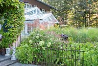 Ornamental grasses, ferns and Hydrangea 'Annabelle' behind an iron cast fence near house entrance with glasshouse annexe,Hydrangea arborescens 'Annabell', Matteucia struthiopteris, Miscanthus sinensis, Parthenocissus tricuspidata