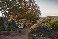 Sand pathways between rock wall edged borders filled with colourful succulents and shrubs in dry desert garden - August, Naries Namakwa Retreat, Namaqualand, South Africa