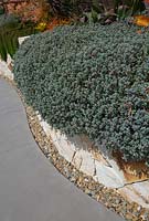 A raised garden bed made from semi-dressed sandstone blocks features Oscularia deltoides, spilling over the edge.  A passive pebble drain at the base of the wall is a practical feature, but also creates texture.