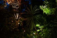 Bold foliage plants illuminated by coloured lights at Abbotsbury Subtropical Garden