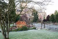 Colourful stems of cornus mix with the skeletal remains of herbaceous perennials beside the Well Pool in the Bishop's Palace garden at Wells on a November morning