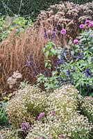 Planting in the Clover Hill borders at RHS Garden Hyde Hall in autumn including Salvia 'Amistad', Dahlia 'Karma Lagoon' and Galatella sedifolia
