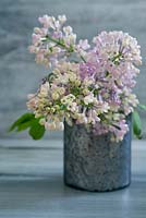 Lilac in a metallic vase