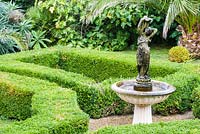 Box parterre with cental water feature, date palms  a wall of figs, self seeded Echium pininana and clipped box.