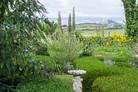 The distinctive outline of St Michael's Mount viewed from the sundial garden across clipped box hedges is framed by tall flower stems of echiums, yellow helianthus and fennel