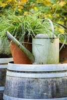 Old galvanised watering can on a rainwater barrel with grass in pot.
